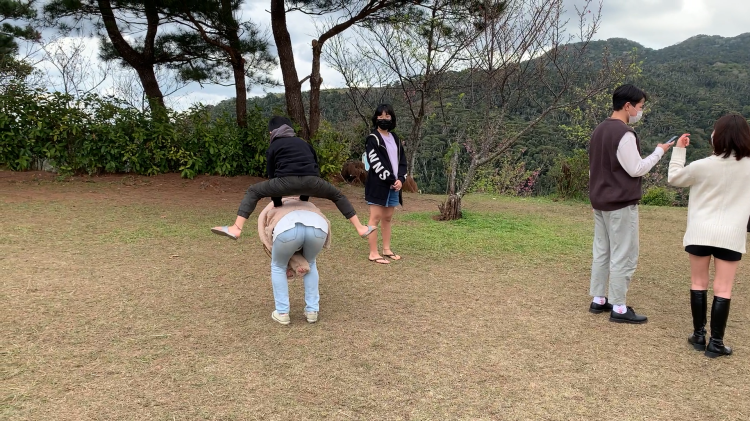 跳び箱-八重岳桜の森公園